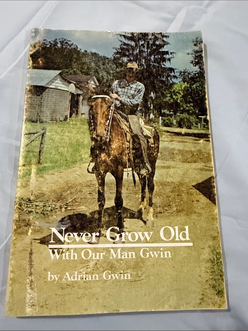 Never Grow Old by Adrian Gwin — Vintage Paperback with Cowboy Cover
